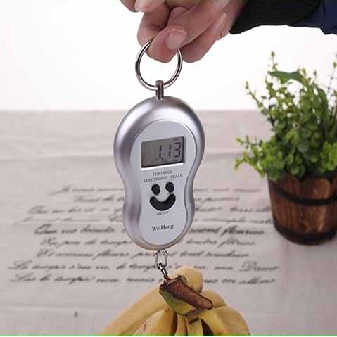 New Portable Electroni Hanging Scale YW-S001 